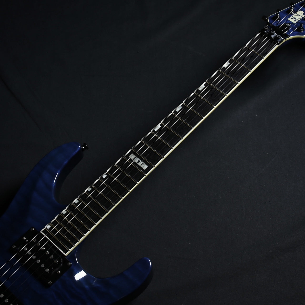 ESP HORIZON-CTM