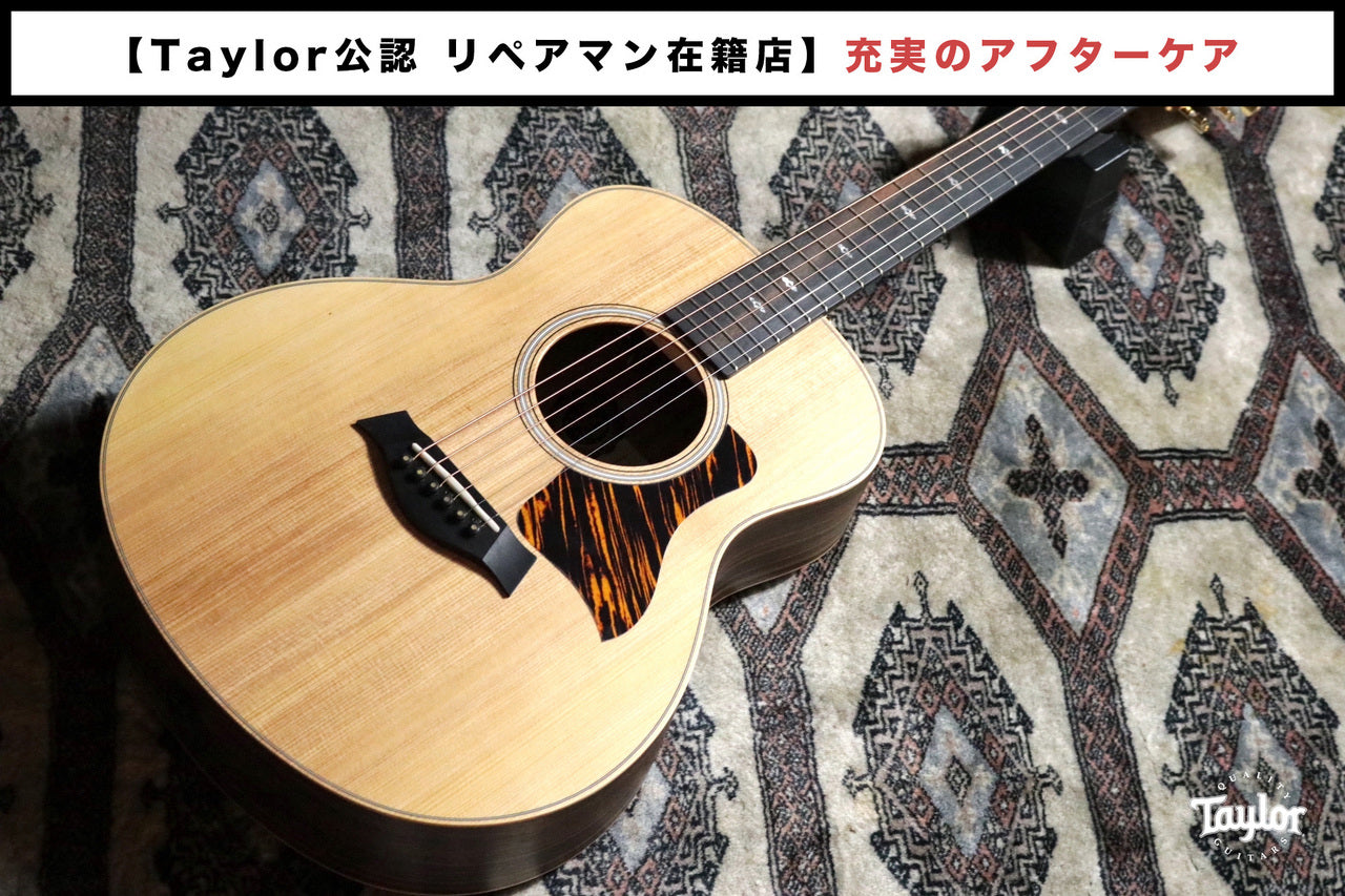 Taylor 50 Anniversary GS Mini-e Rosewood LTD 【Taylor公認 リペアマン在籍店】