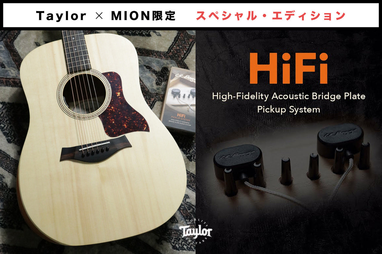 Taylor Academy 10 Special Edition by MION 【Taylor公認 リペアマン在籍店】