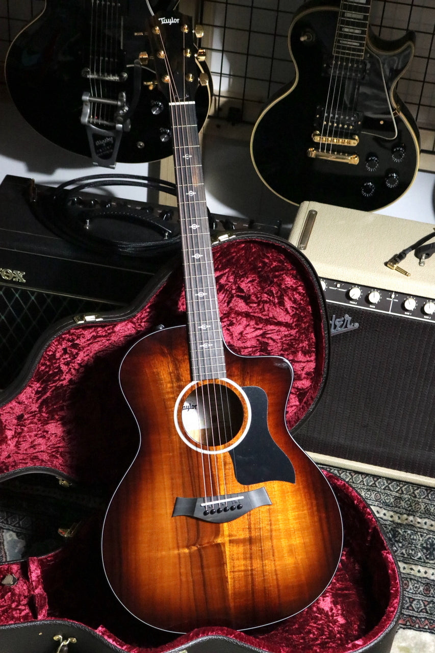 Taylor 224ce-Koa DLX ES2 SEB【Taylor公認 リペアマン在籍店】