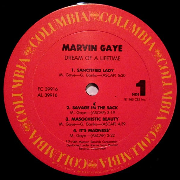 Marvin Gaye - Dream Of A Lifetime (LP, Album, Pit)