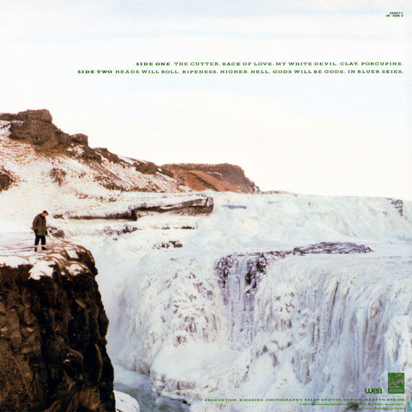 Echo & The Bunnymen - Porcupine (LP, Album)