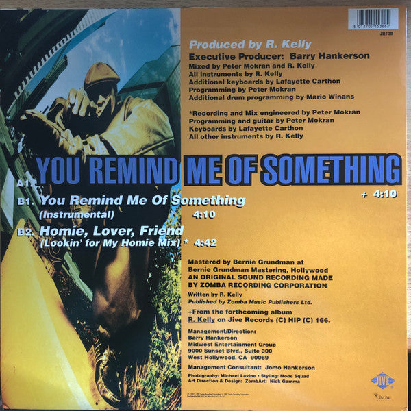 R. Kelly - You Remind Me Of Something (12"", Single)