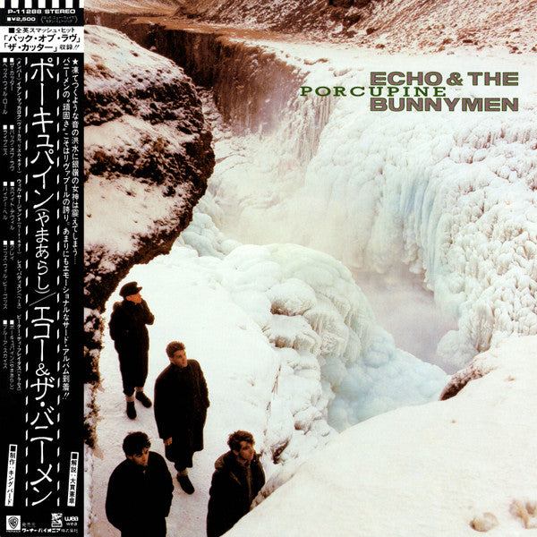Echo & The Bunnymen - Porcupine (LP, Album)