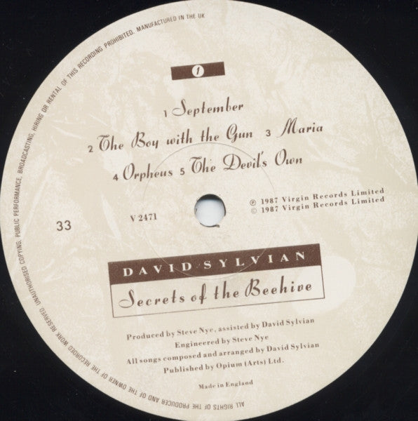 David Sylvian - Secrets Of The Beehive (LP, Album)