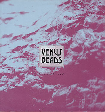 Venus Beads - Transfixed (12"")