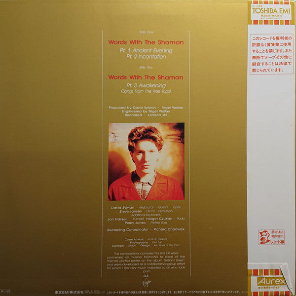 David Sylvian - Words With The Shaman(12", EP)