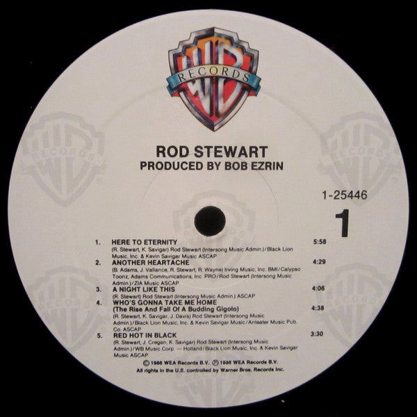 Rod Stewart - Rod Stewart (LP, Album)