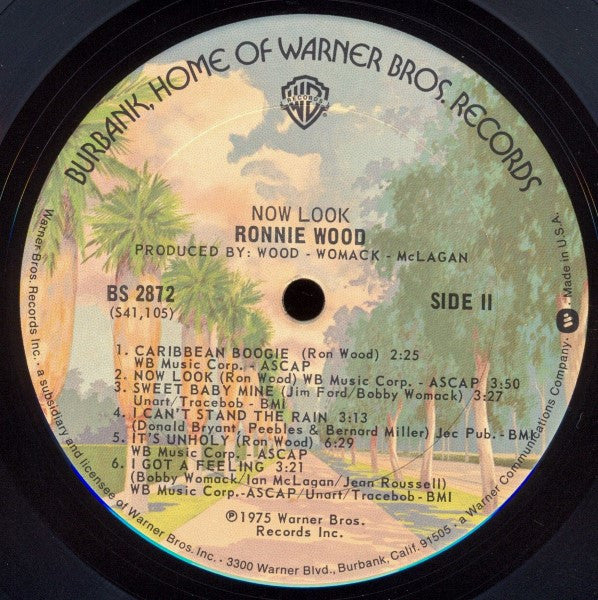 Ronnie Wood* - Now Look (LP, Album, Ter)