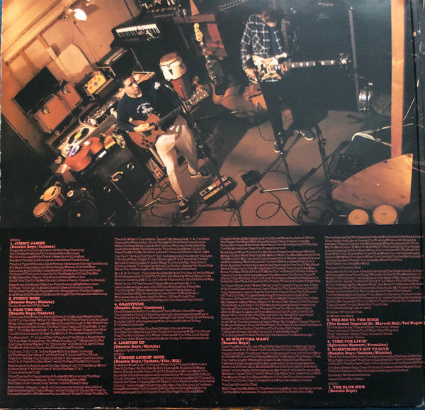 Beastie Boys - Check Your Head  (2xLP, Album, Gat)