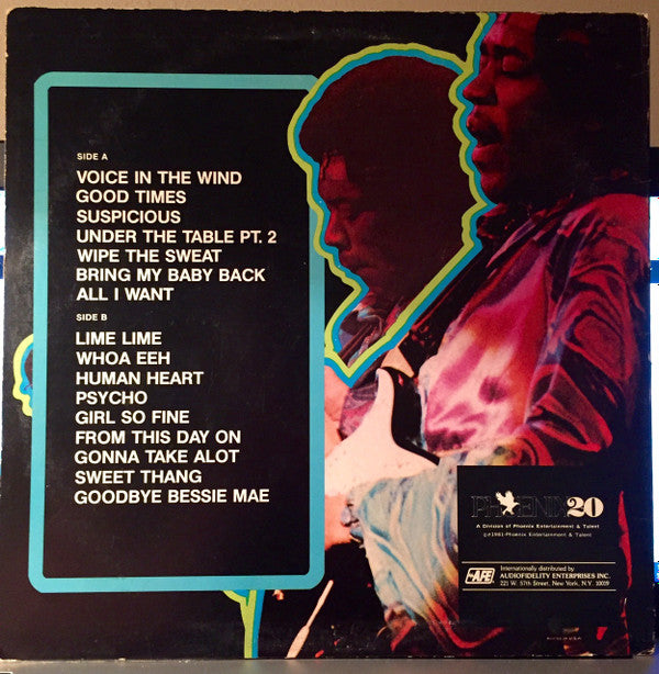 Jimi Hendrix - Hendrix (16 Great Songs) (LP, Comp)