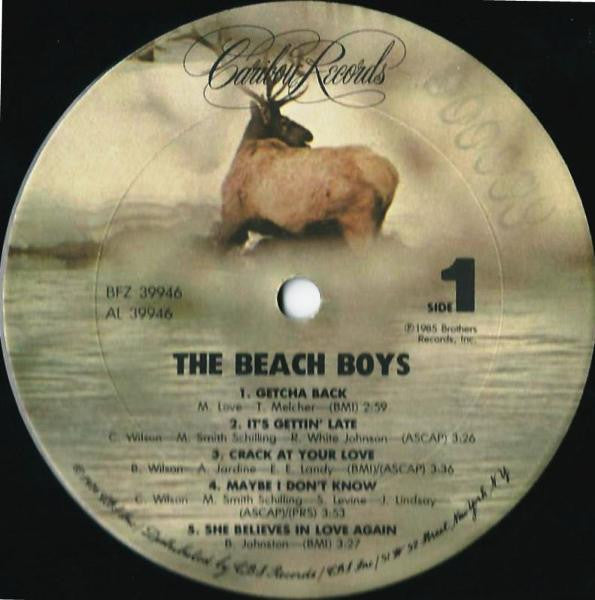 The Beach Boys - The Beach Boys (LP, Album, Pit)