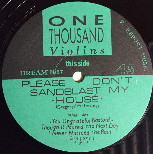 One Thousand Violins - Please Don't Sandblast My House (12"", Single)