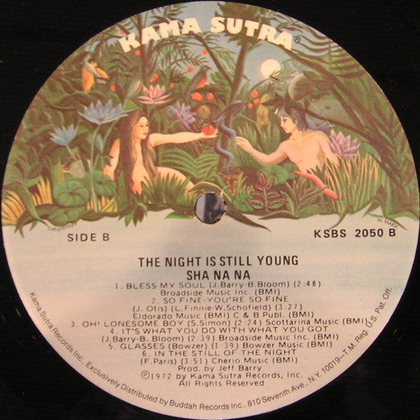 Sha Na Na - The Night Is Still Young (LP, Album)