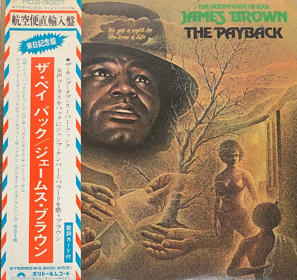 The Godfather Of Soul James Brown* - The Payback (2xLP, Album)