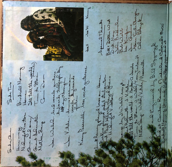 Joe Walsh - Barnstorm (LP, Album, RE)