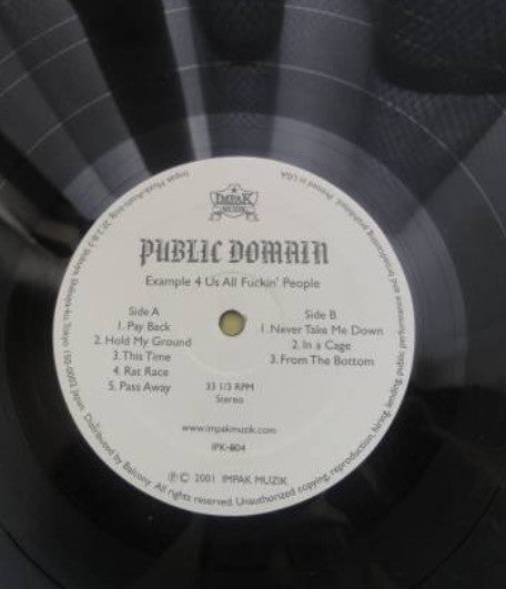 Public Domain (6) - Example IV Us All F**Kin' People (LP)