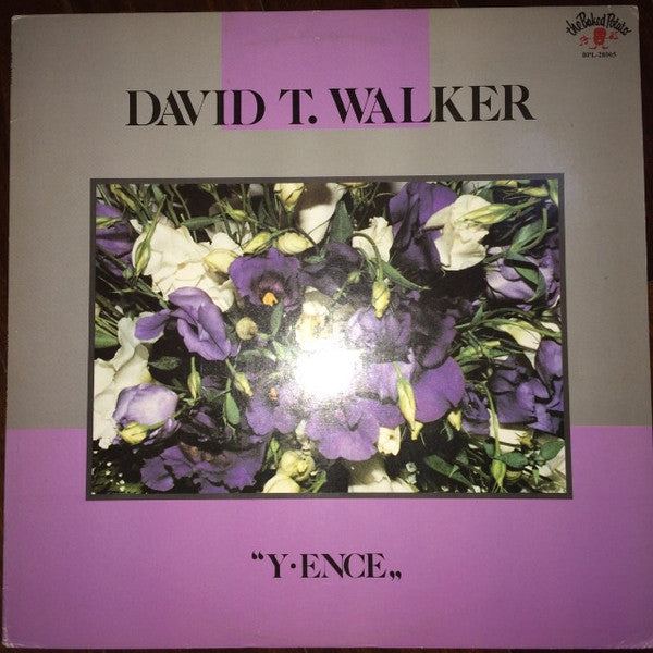 David T. Walker - Y • Ence (LP, Album)