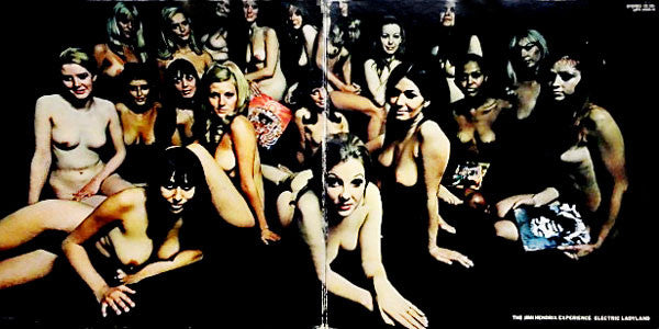 The Jimi Hendrix Experience - Electric Ladyland(2xLP, Album, M/Prin...