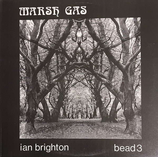 Ian Brighton - Marsh Gas (LP, Album)