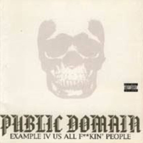 Public Domain (6) - Example IV Us All F**Kin' People (LP)