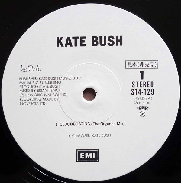 Kate Bush - Cloudbusting (12"", Promo)