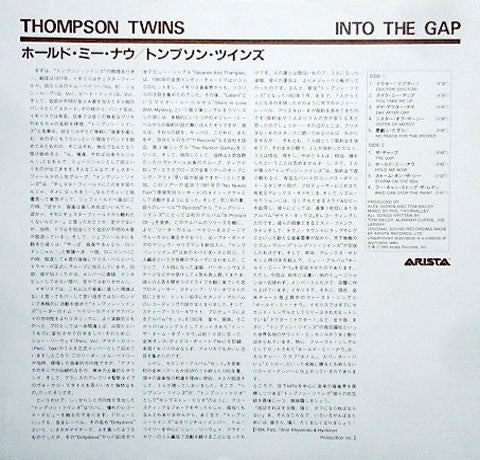 Thompson Twins - Into The Gap (LP, Album)