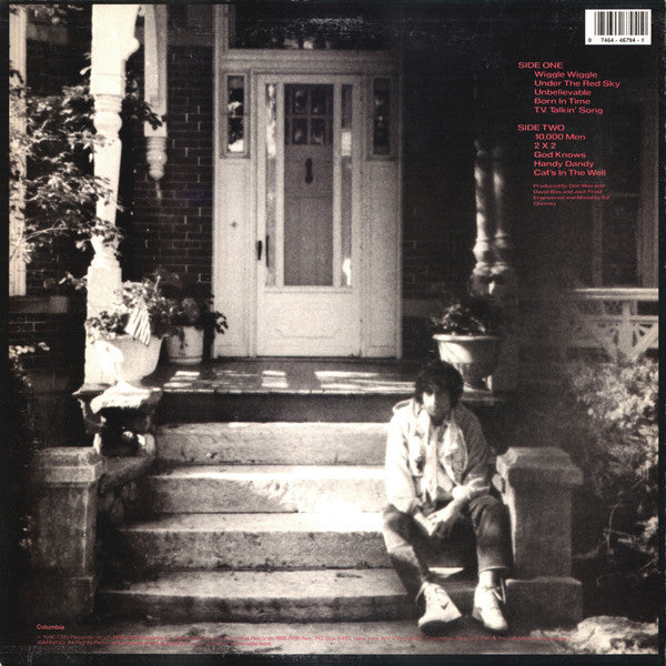 Bob Dylan - Under The Red Sky (LP, Album)