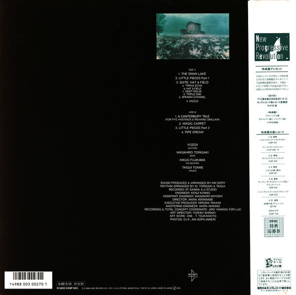 Ain Soph (2) - Hat And Field (LP, Album)