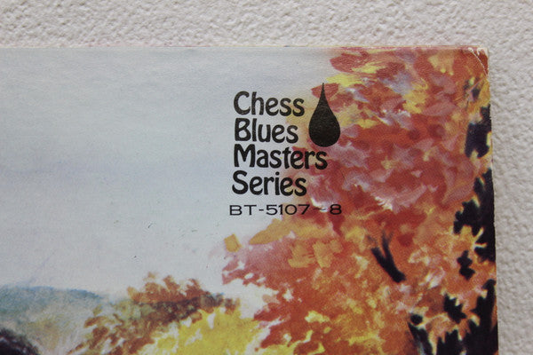 Muddy Waters - Chess Blues Masters Series (2xLP, Comp)