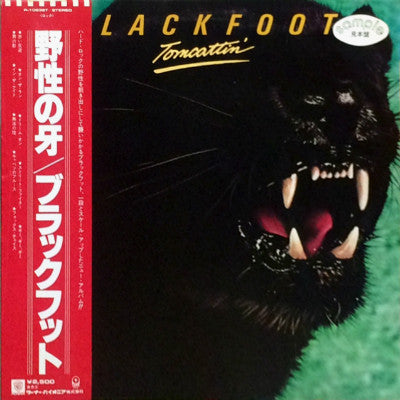 Blackfoot (3) - Tomcattin' (LP, Album, Promo)