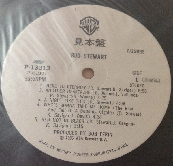 Rod Stewart - Rod Stewart (LP, Album, Promo)