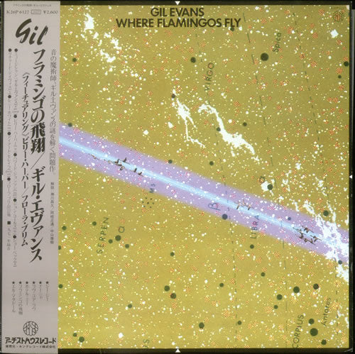 Gil Evans - Where Flamingos Fly (LP, Album)