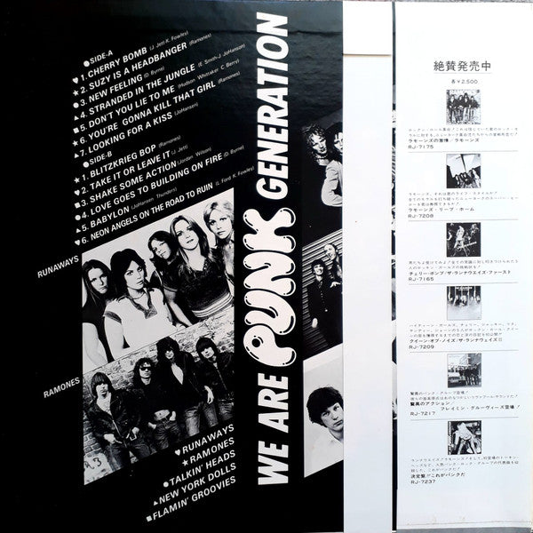 Various - We Are Punk Generation (LP, Comp)