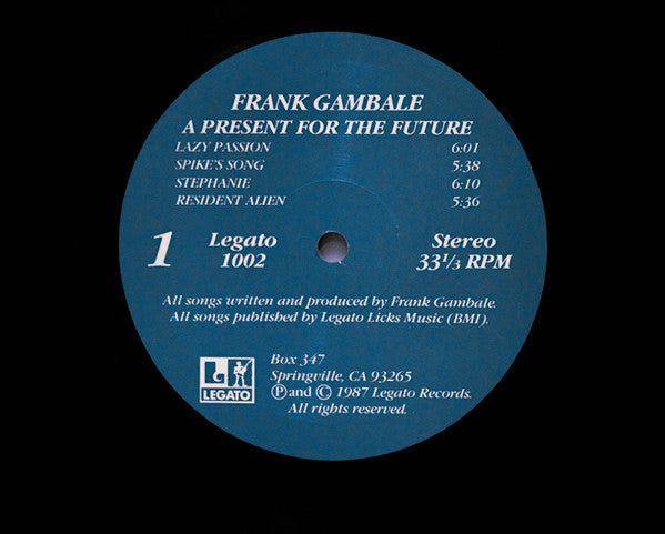 Frank Gambale - A Present For The Future (LP, Album)