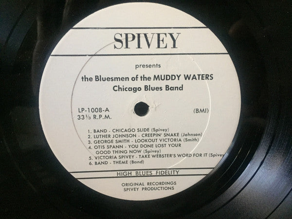 The Bluesmen Of The Muddy Waters Chicago Blues Band - Tain't Nobody...