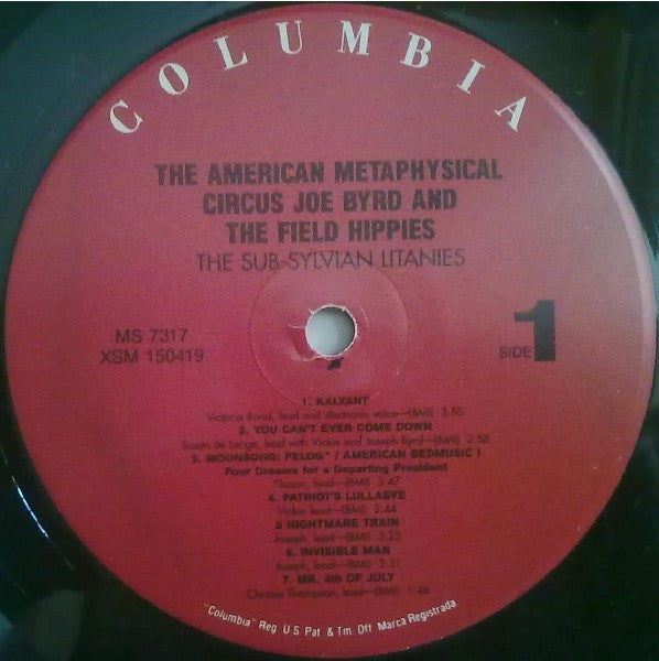 Joe Byrd And The Field Hippies - The American Metaphysical Circus(L...