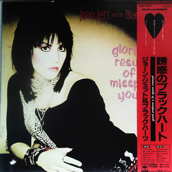 Joan Jett & The Blackhearts - Glorious Results Of A Misspent Youth(...