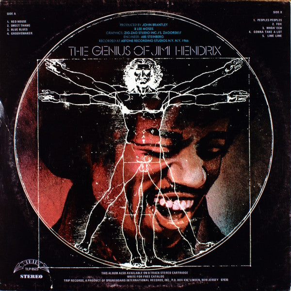 Jimi Hendrix - The Genius Of Jimi Hendrix (LP, Comp)