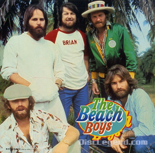 The Beach Boys - The Beach Boys (2xLP, Comp)