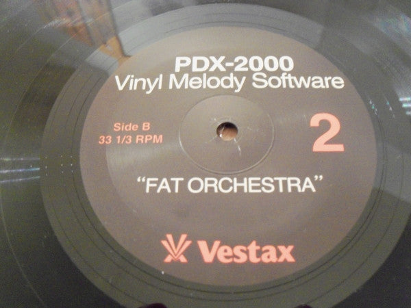 Unknown Artist - PDX-2000 Vinyl Melody Software 2 (Fat Orchestra) (LP)