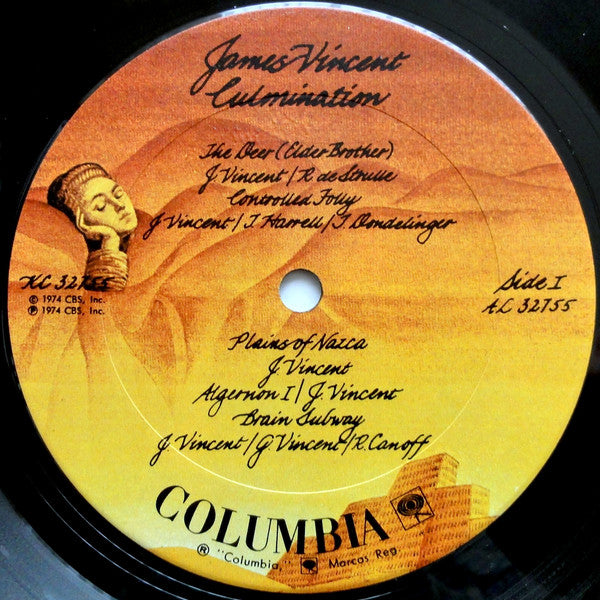 James Vincent - Culmination (LP, Album)