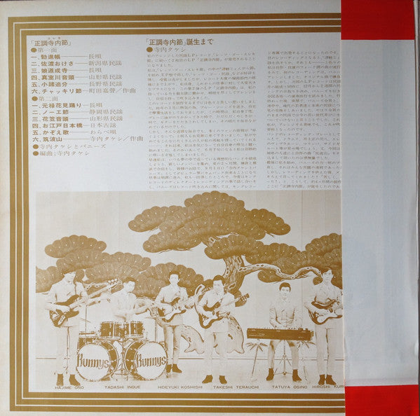 Takeshi Terauchi And The Bunnys - 正調寺内(エレキ)節 (LP, Album, Gat)