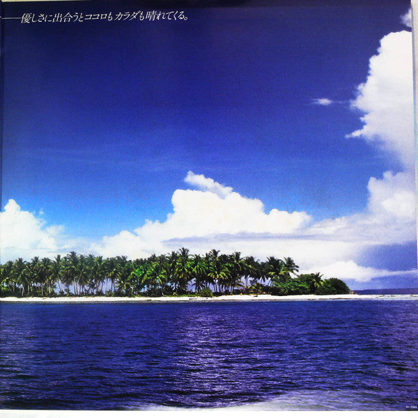 Naoko Kawai = 河合奈保子* - Sky Park = スカイ・パーク (LP, Album, Promo, Gat)