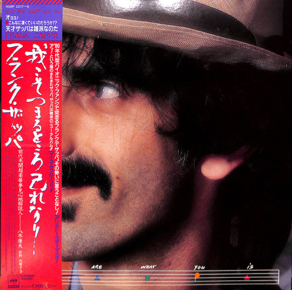 Frank Zappa - You Are What You Is (2xLP, Album)