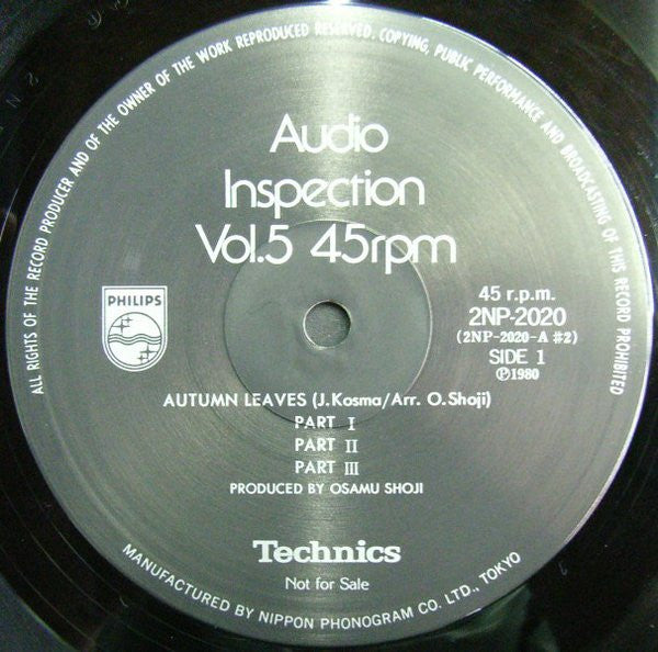 Various - Audio Inspection Vol. 5 (LP)