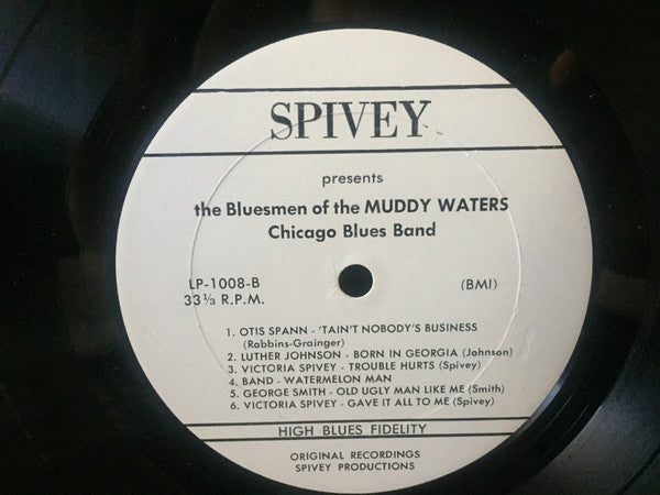 The Bluesmen Of The Muddy Waters Chicago Blues Band - Tain't Nobody...