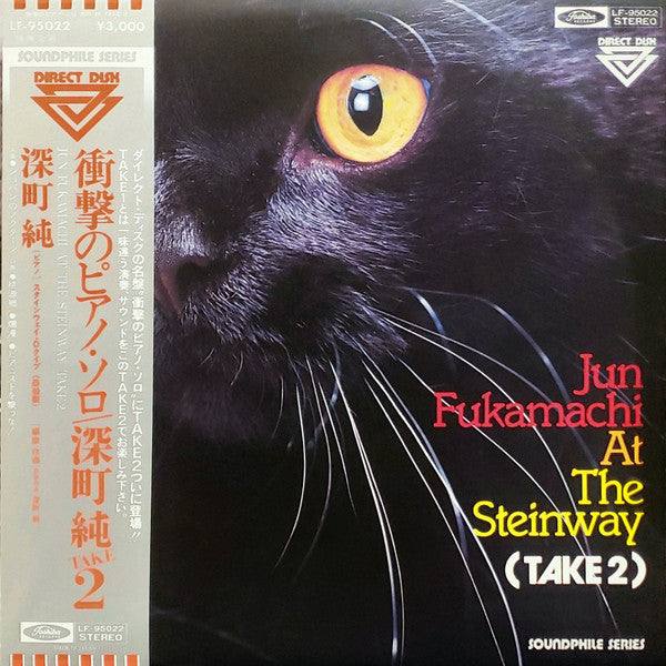 Jun Fukamachi - Jun Fukamachi At The Steinway (Take 2) (LP)