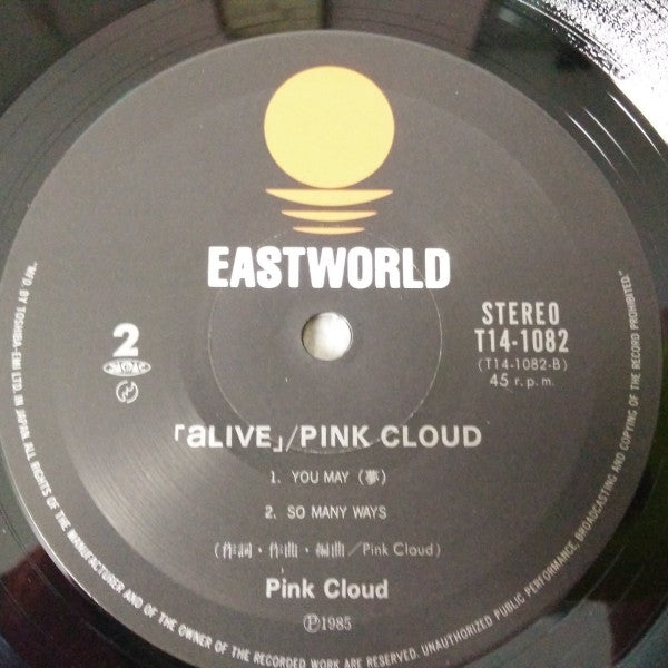 Pink Cloud (2) - Alive (12"", Album)