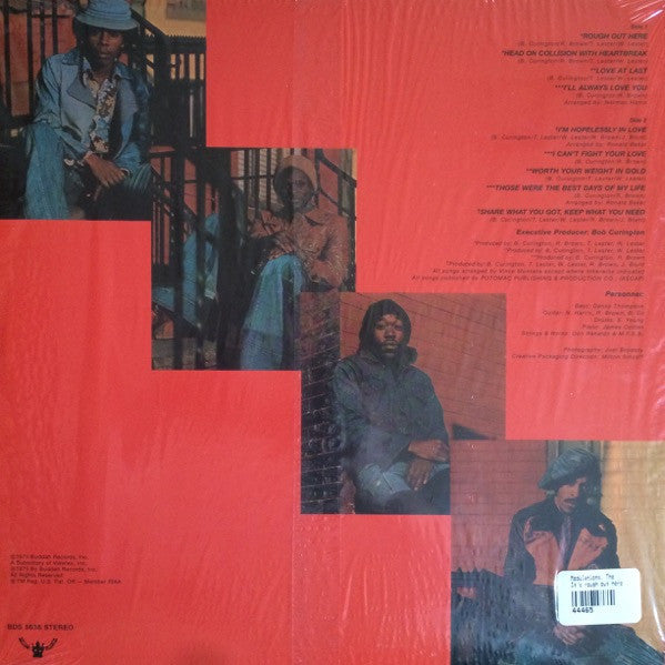 The Modulations - It's Rough Out Here (LP, Album, RE)